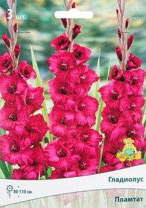 Основная фотография от вендора