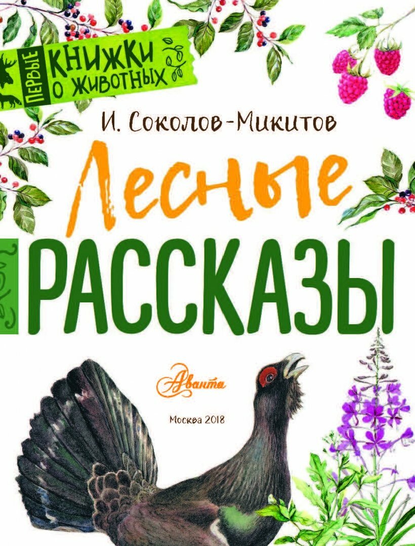 Лесные рассказы (Соколов-Микитов Иван Сергеевич) - фото №10