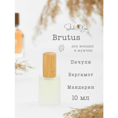 brutus brutus unison life colour turquoise Brutus духи стойкие