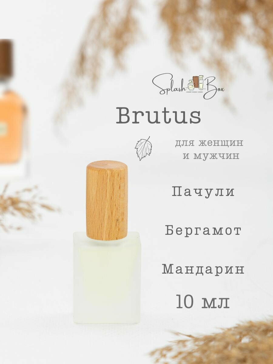 Brutus духи стойкие