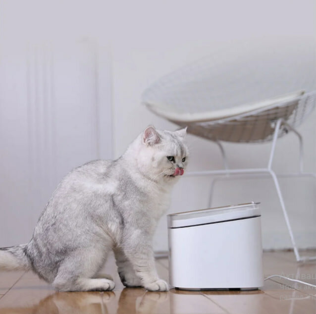 Умная поилка для животных Mijia Smart Pet Water (модель XWWF01MG)