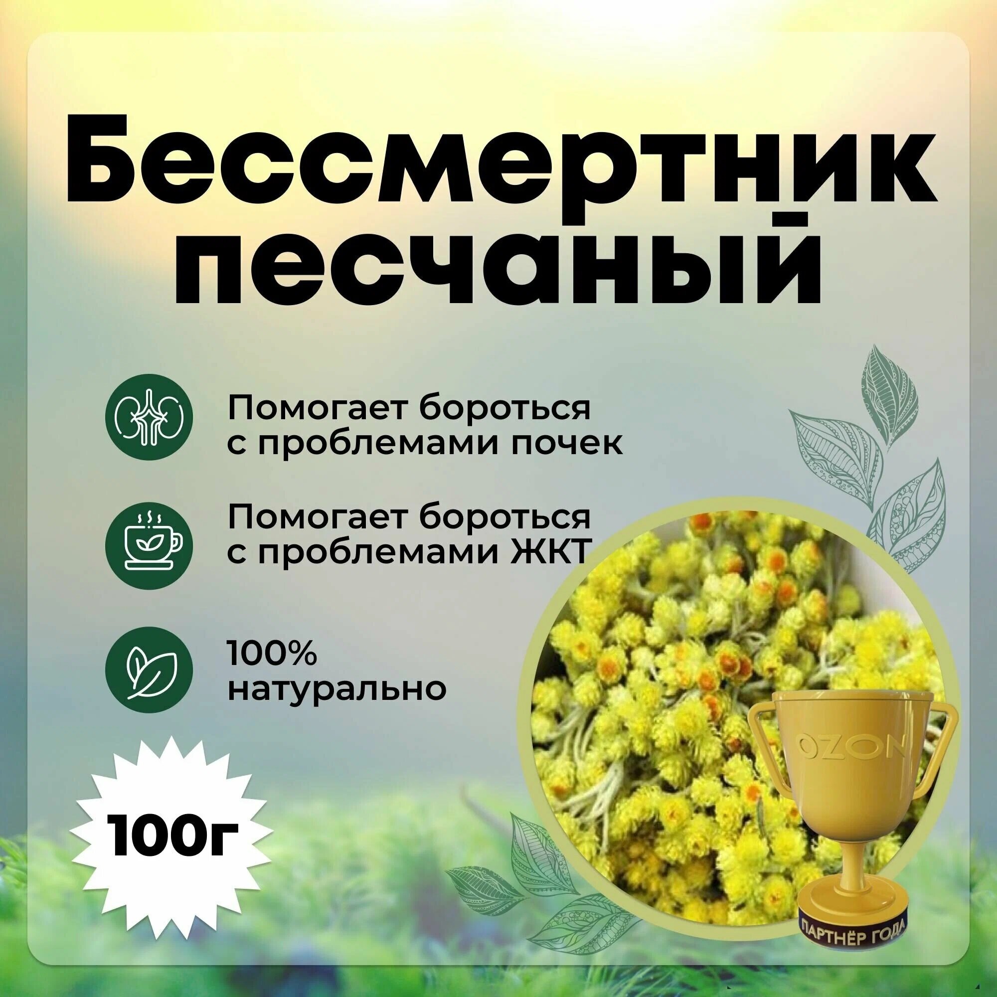 Бессмертник песчаный, 100 гр
