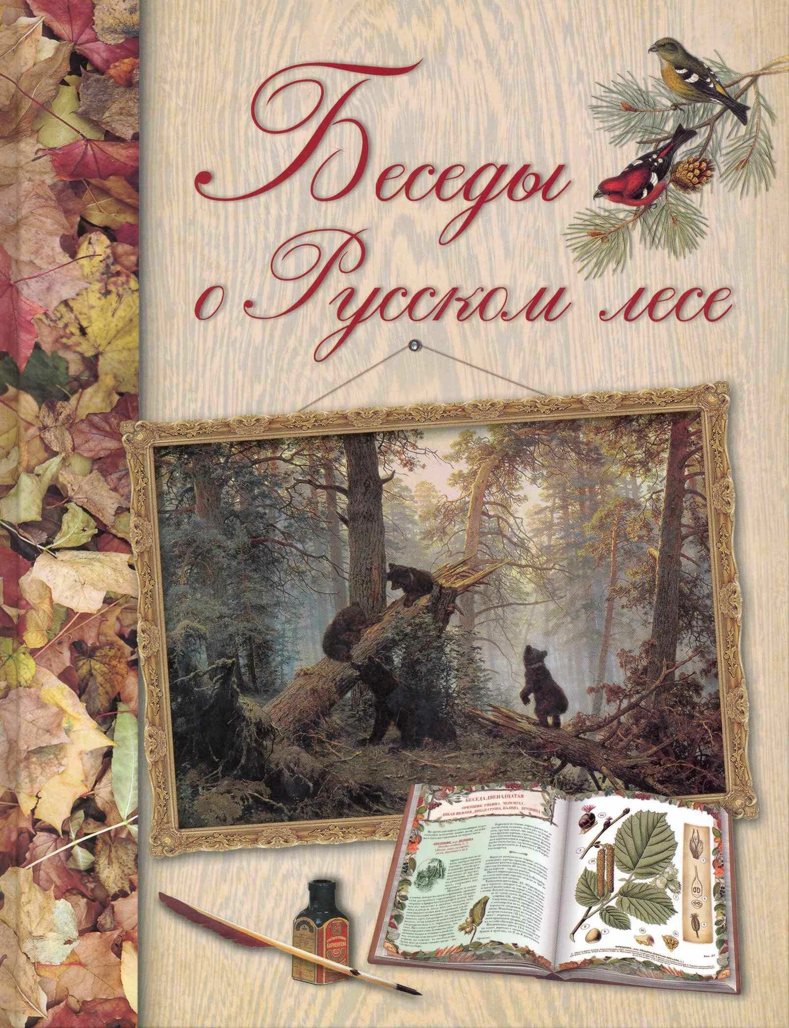 Беседы о русском лесе (Кайгородов Дмитрий Никифорович) - фото №11