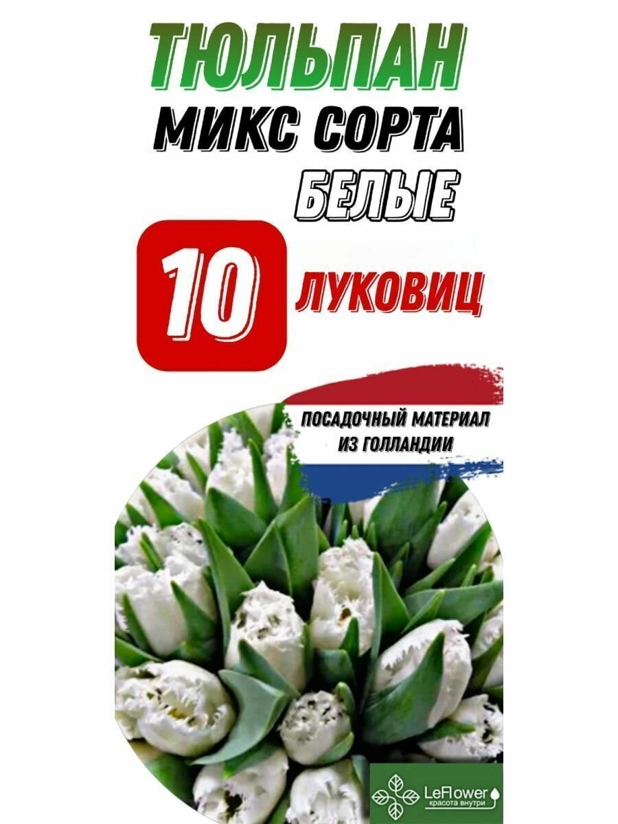 Тюльпан Луковица, Микс белых сортов, 10шт (LeFlower) - фотография № 1