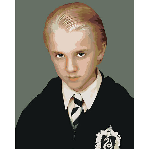 Картина по номерам Гарри Поттер Драко Малфой слизерин 8 картина по номерам драко малфой холст на подрамнике 40х50