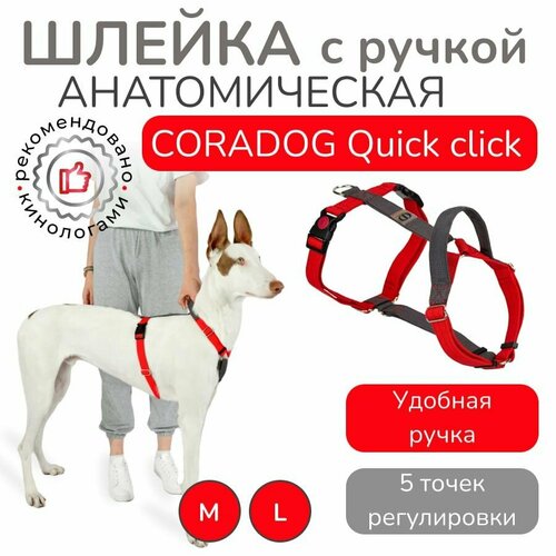 Шлейка с ручкой прогулочная анатомическая для средних и крупных пород собак CORADOG Quick click размер L цвет красный серый 3100₽