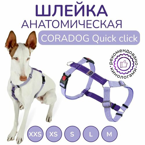 Шлейка прогулочная анатомическая для средних пород собак, CORADOG Quick click, размер S, цвет сиреневый, фиолетовый