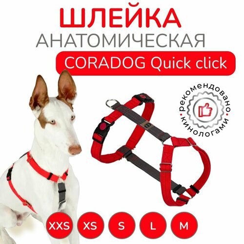 Шлейка прогулочная анатомическая для средних и крупных пород собак, CORADOG Quick click, размер M, цвет красный, серый