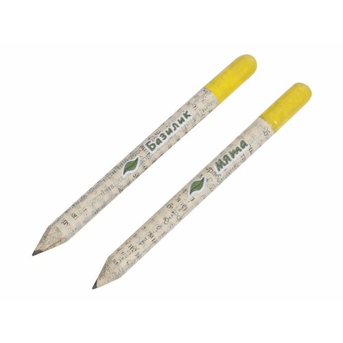 Набор растущих карандашей mini, 2 шт с семенами базилика и мяты