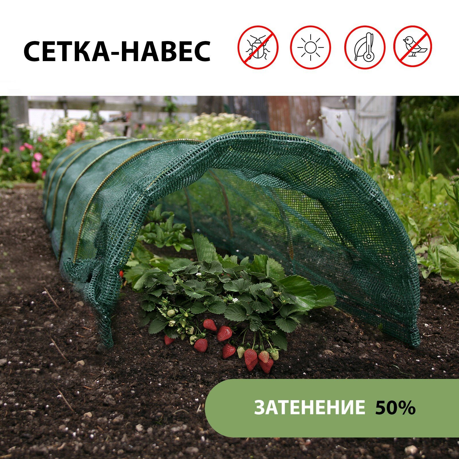 Сетка-навес, 6 м, 4 дуги из стеклопластика, d = 4 мм, затеняющая 50%