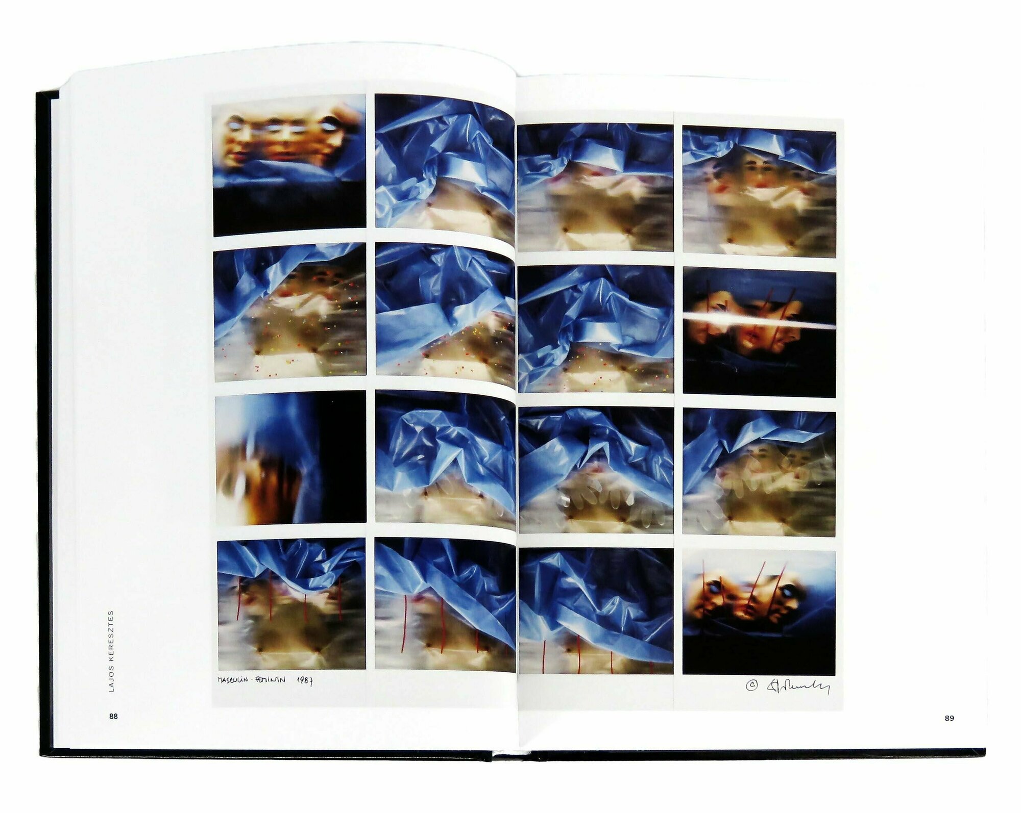 The Polaroid Book (40th Anniversary Edition) - фото №10