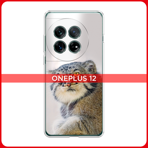 Силиконовый чехол на OnePlus 12 / Ван Плас 12 Кот манул 1 силиконовый чехол на oneplus 12 ван плас 12 рыжий кот в венке