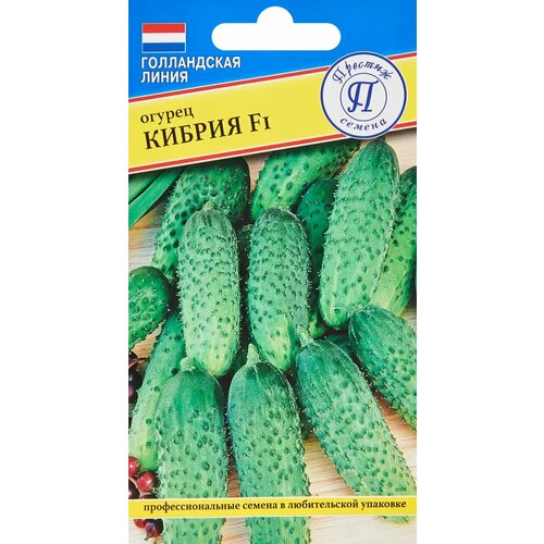 Семена овощей огурец Кибрия F1, 5 шт. огурец кибрия f1