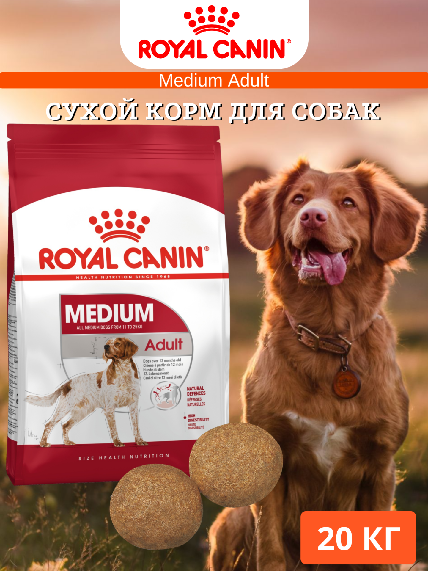 Сухой корм для собак Royal Canin Medium Adult 20кг