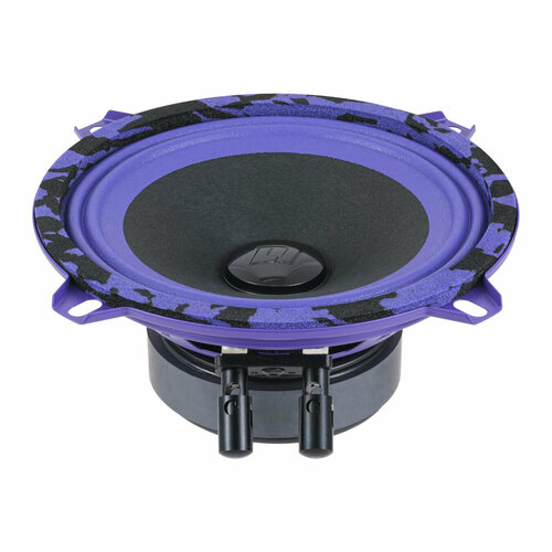 Эстрадная акустика DL Audio Piranha 130 V2 244200₽