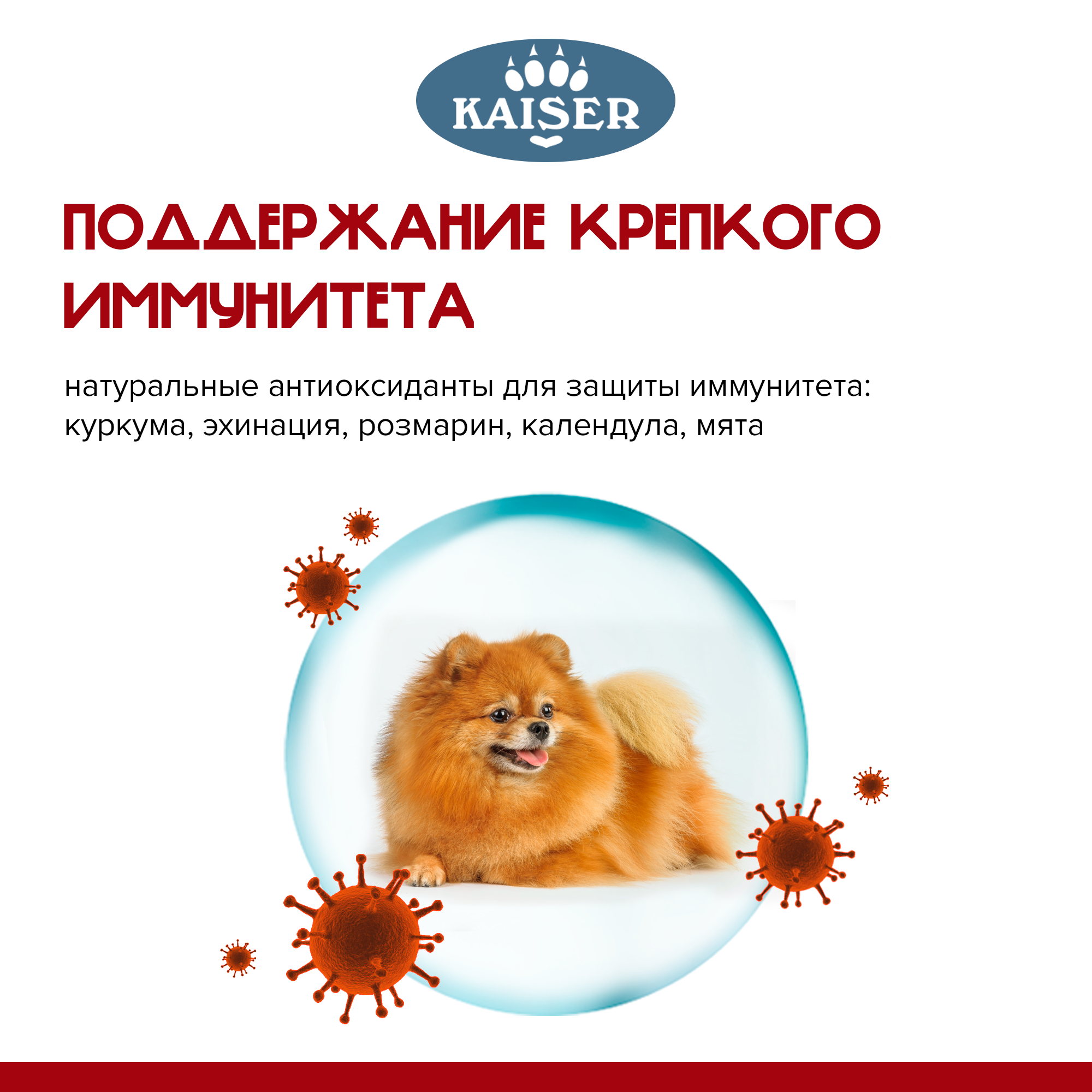 KAISER Cухой корм для собак мелких пород с говядиной 2,5 кг, супер-премиум — фото 1