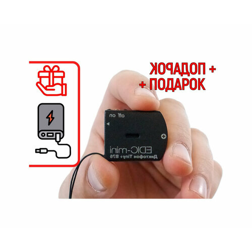 Цифровой диктофон для скрытой записи Эдик-мини 150HQ-B76 TINY S27714ID подарок повербанк 10000 mAh VAS система голосовой активации диктофон с 1213300₽