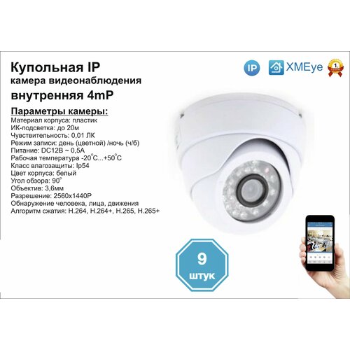 9шт DVW300IP4MP Внутренняя IP камера 4мП с ИК до 20м 1904000₽