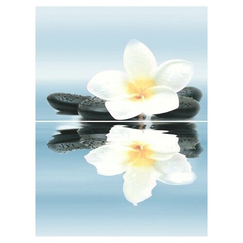 Dream Панно P2-2D185 30х40 (из 2-х пл.)