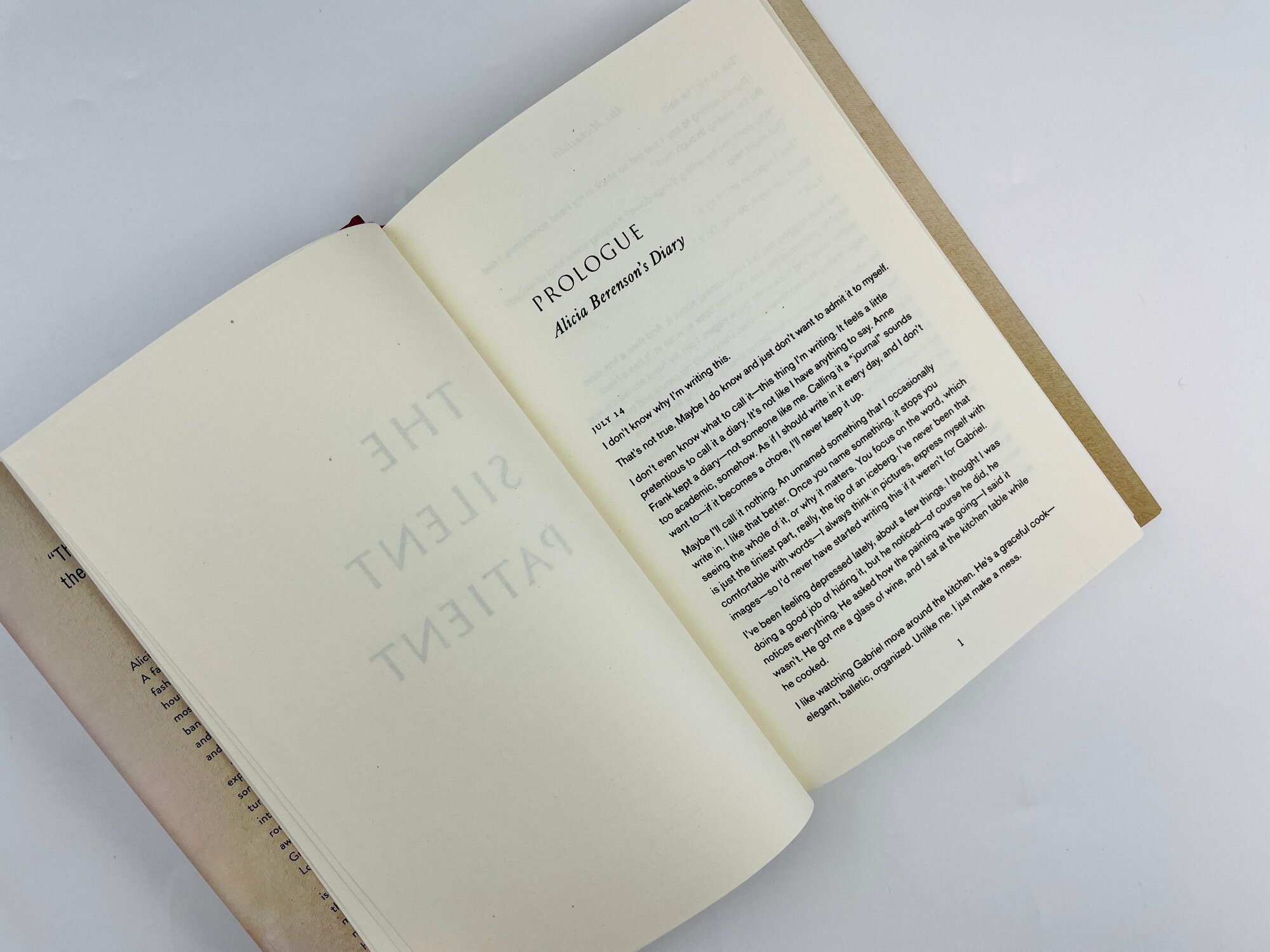 Книга The Silent Patient (Michaelides Alex) - фото №6