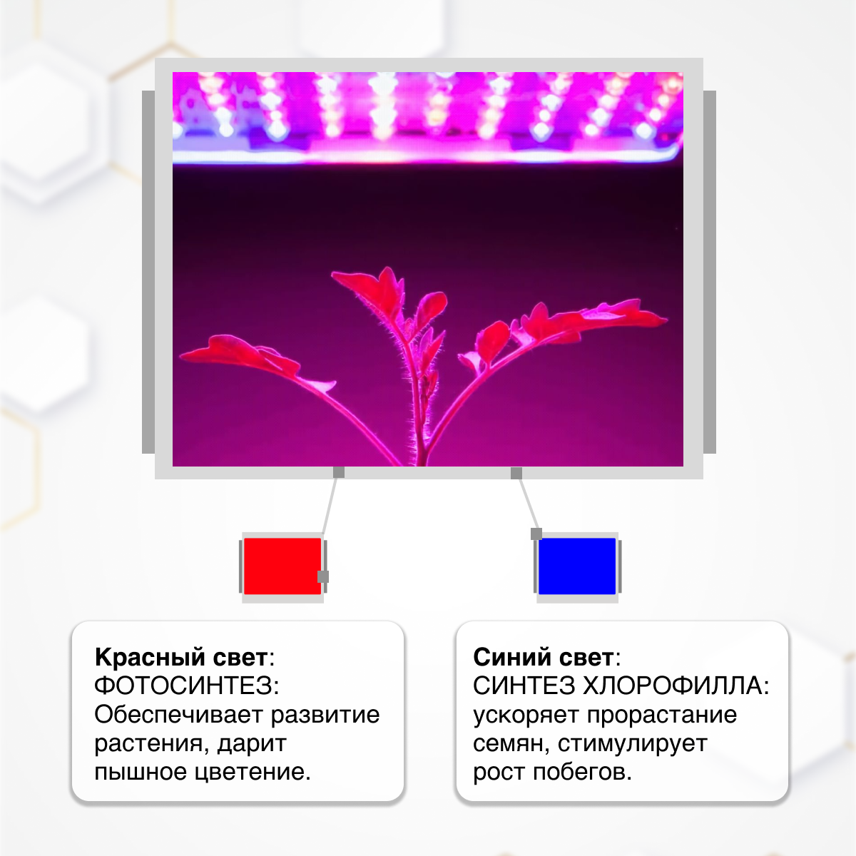 Фитосветильник Delta-Park - фото №7