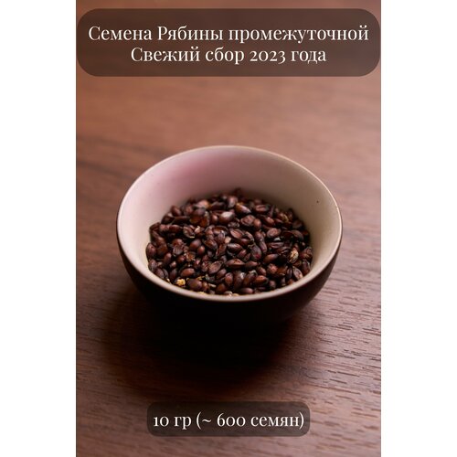 семена декоративной бирючины туполистной 10 грамм примерно 300 шт Семена декоративной Рябины промежуточной, 10 грамм (примерно 600 шт)