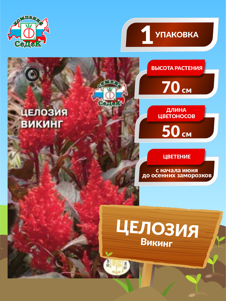 Семена Целозия Викинг Однолетние 02 гр.