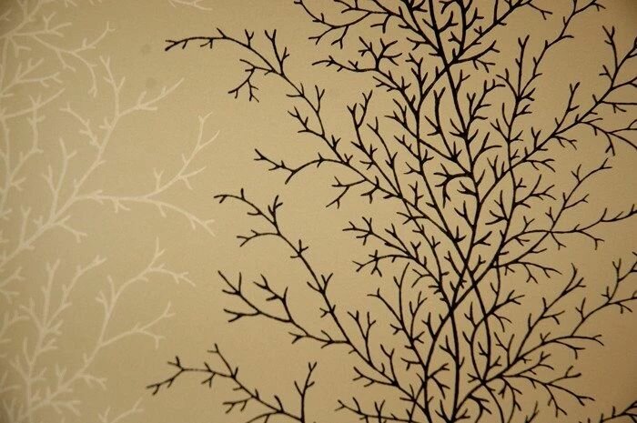 Обои York Ashford House Calypso YV8989 C  0 68х8 20 м 