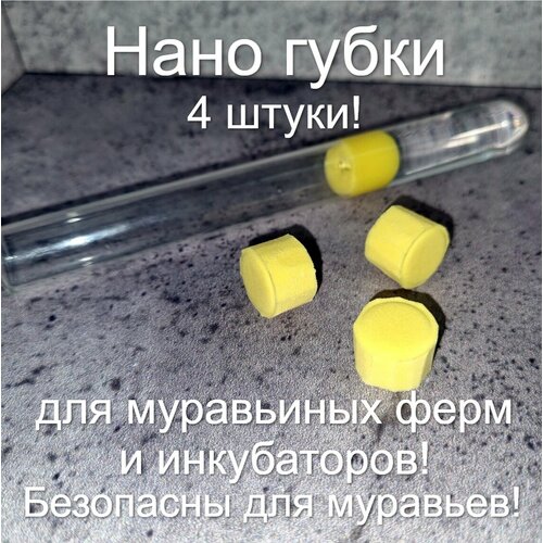 Нано губки Не плесневеют В отличие от ваты Для пробирок муравьиной фермы и инкубаторов Муравьиная ферма Формикарий Муравьи Жнецы 237₽