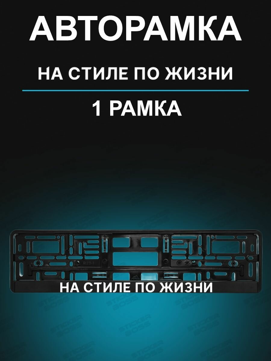 Рамка для гос номера 1 шт с надписью на стиле по жизни