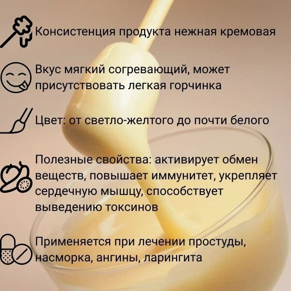 Мёд липовый Берестов А. С, Башкирхан, 500 г, стеклянная банка — фото 1