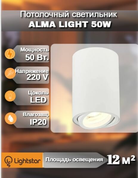 Светильник потолочный Alma Light GU10 50W матовый