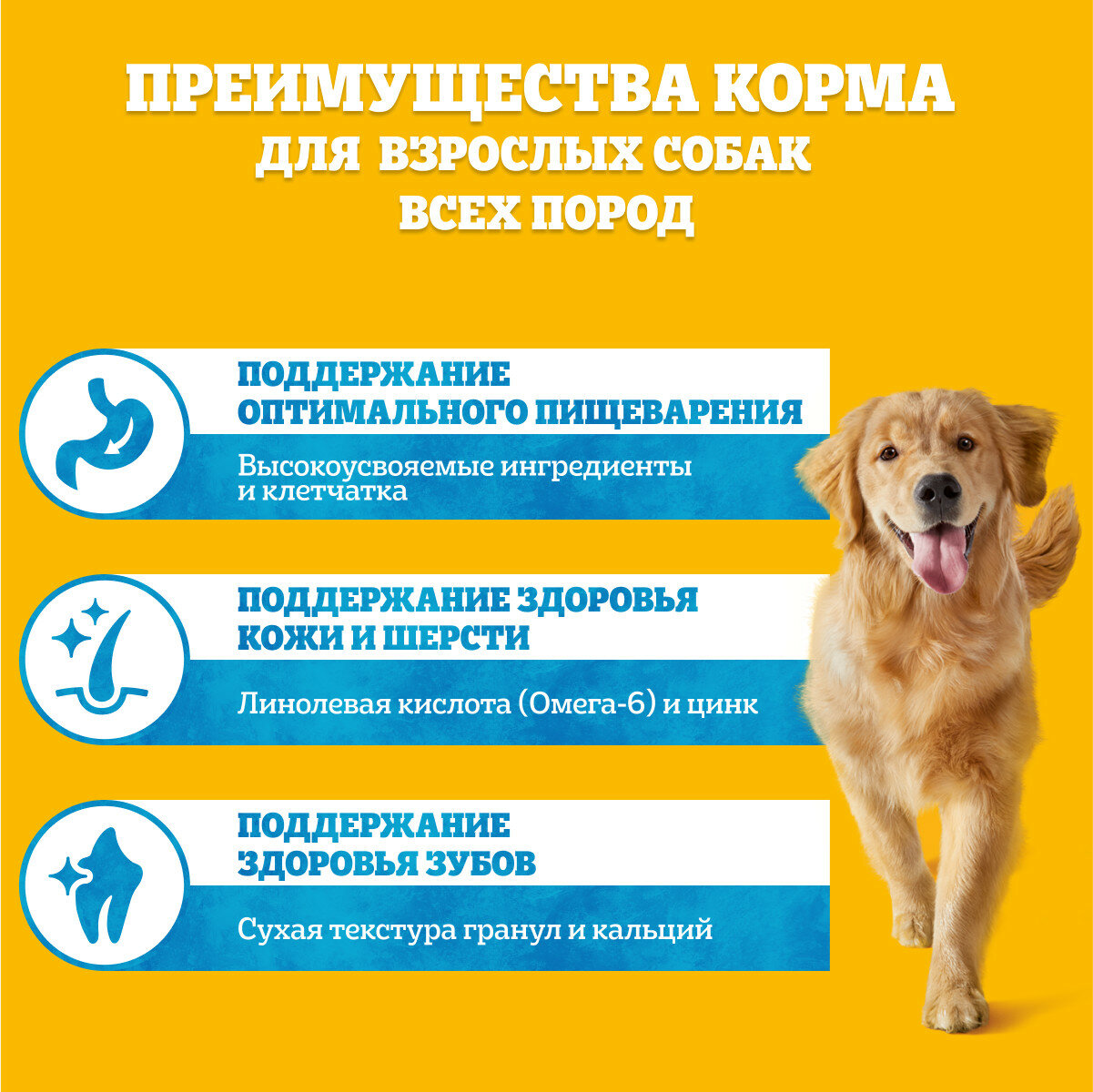 Полнорационный сухой корм для взрослых собак всех пород Pedigree Vital Protection с говядиной, 2.2 кг - фото №3