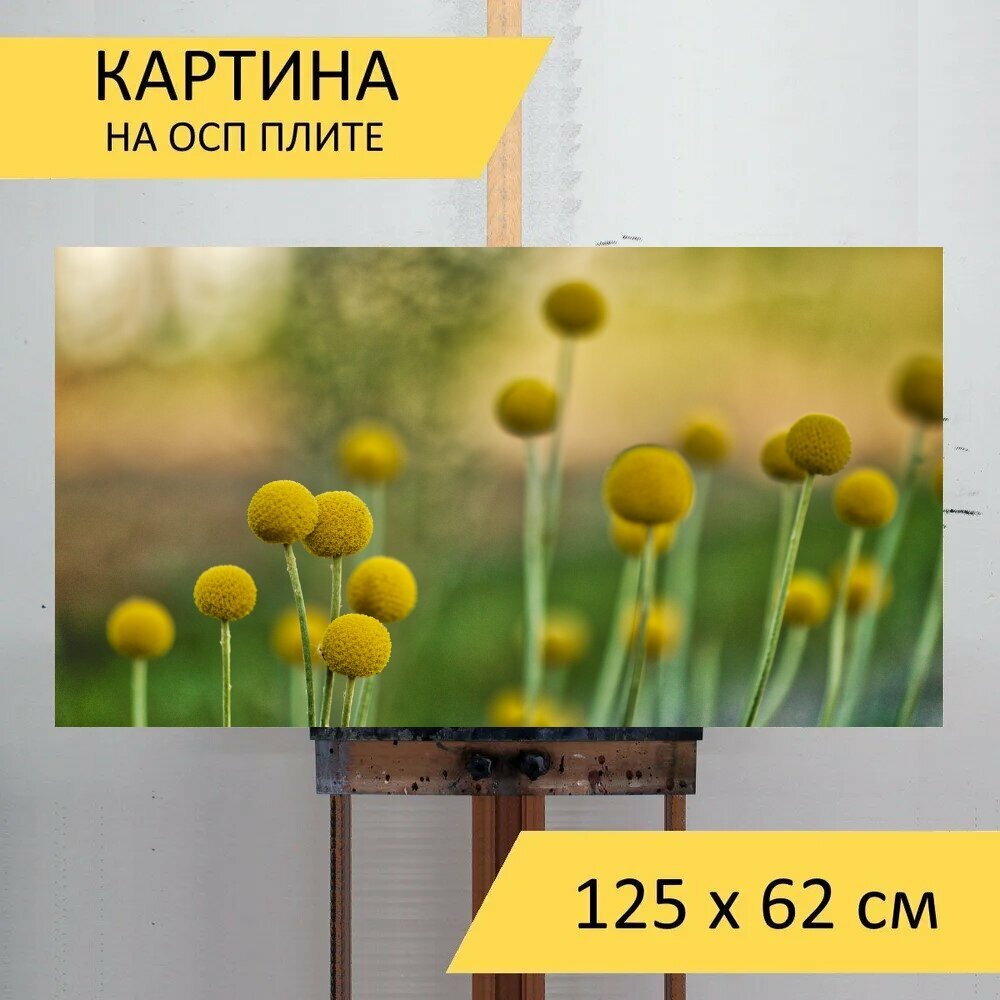 Картина на ОСП 125х62 см. 