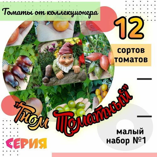 Набор томатов проекта "Гном Томатный", 12 сортов, американо - австралийская селекция, для открытого грунта