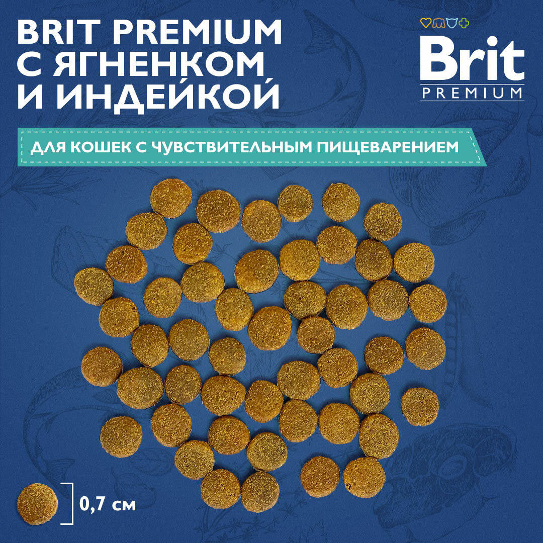 BRIT PREMIUM, Сухой корм с ягненком и индейкой для кошек "Cat Sensitive", 2кг