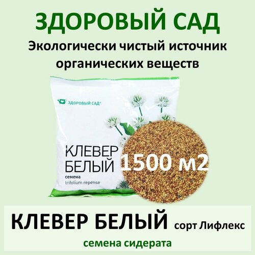 Семена сидерата клевер белый здоровый САД, 0,5 кг (пакет) х 15 шт (7,5 кг) клевер белый ривендел 10 кг