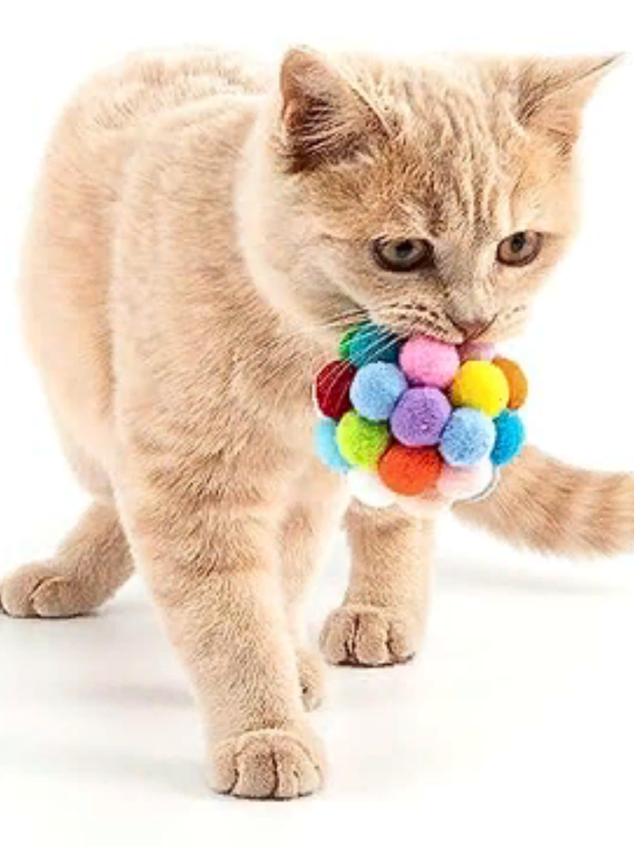 Мячик для кошек и собак с погремушкой - фотография № 6