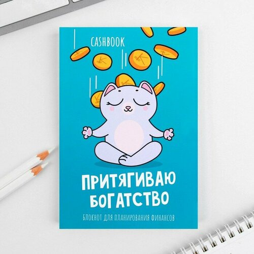 Умный блокнот CashBook А6, 68 листов «Денежный кот»