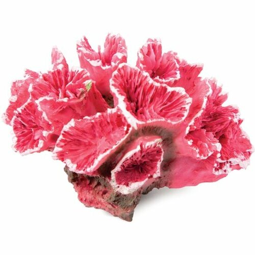 Коралл искусственный Laguna Кауластрея, розовая, 70*50*45мм