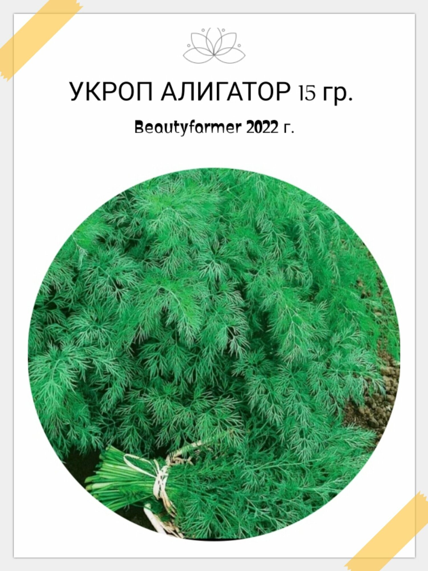 Укроп Алигатор фермерский 15 гр.
