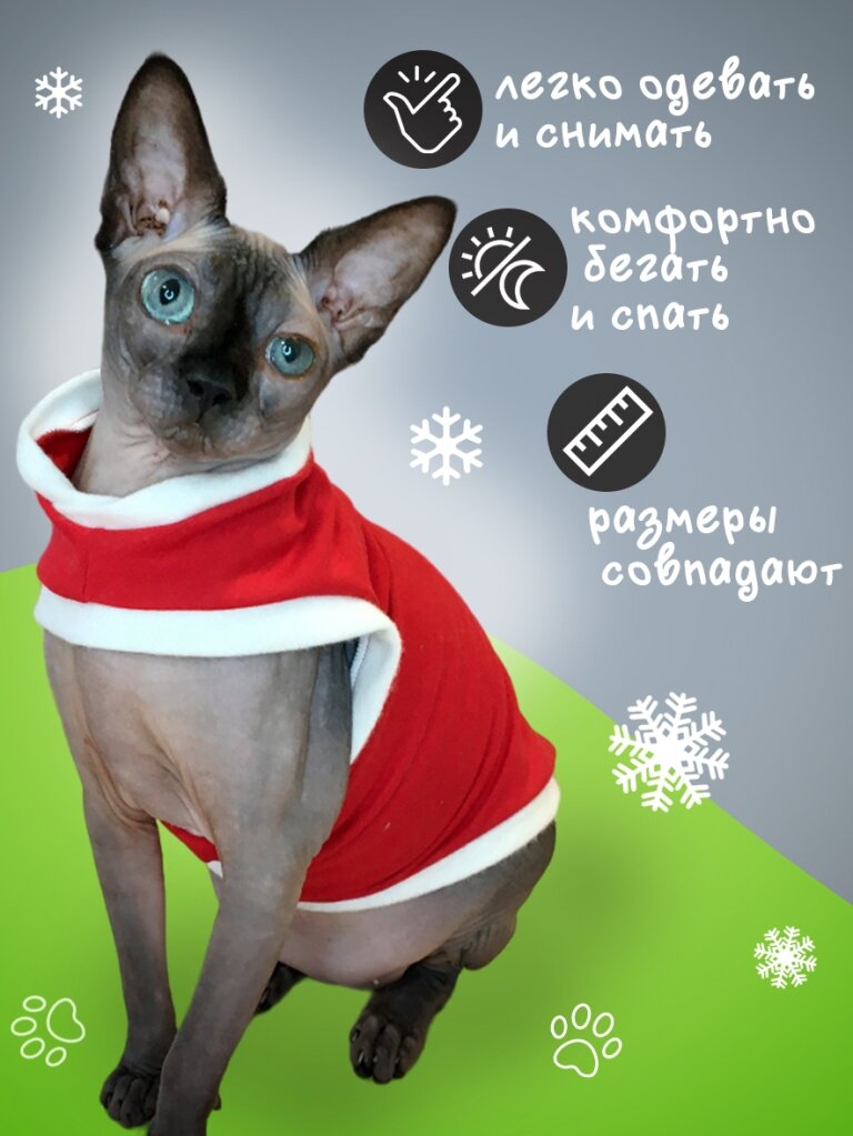 Одежда для животных кошек сфинкс и собак мелких пород, размер L - фотография № 5