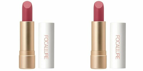 Focallure Помада для губ Staymax Powder Matte Lipstick тон 05, 3 г, 2 уп.