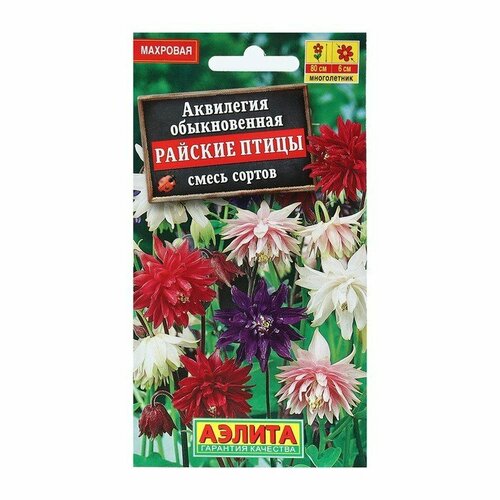 Семена цветов Аквилегия Райские птицы, 0,2 г (комплект из 37 шт) семена цветов аквилегия райские птицы 0 2 г 4 упаковки