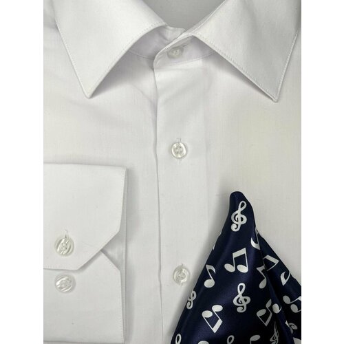 фото Нагрудный платок , синий okman