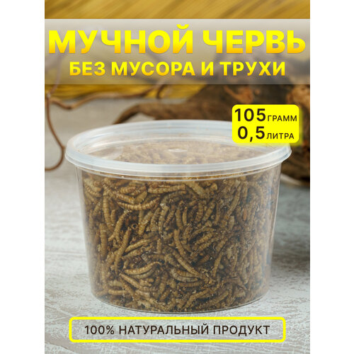 Лакомство мучной червь для грызунов , лакомство для грызунов