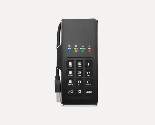 Изображение товара Защищенные usb диск носители DATALOCK М2 PRO 256 GB (Z70011IM) защищенный флеш накопитель. 256-битное шифрование по AES-256.