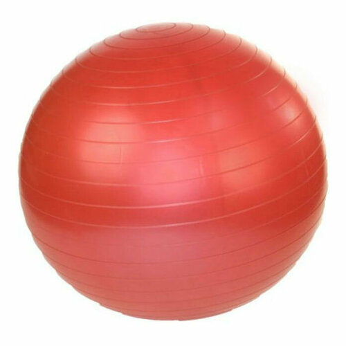 фото Мяч гимнастический надувной, фитбол protrain asa059-55