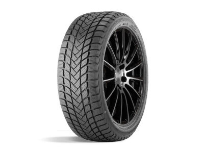 Landsail Winter Lander 215/65 R16 H98