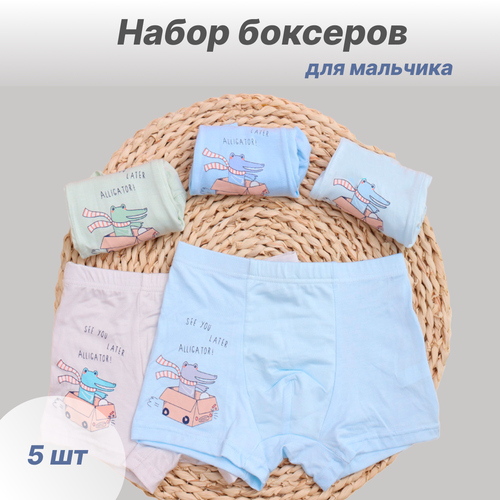 фото Трусы , 5 шт., размер l, голубой камея